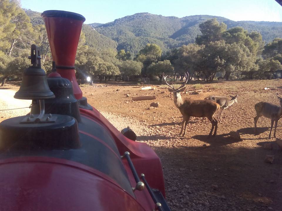 parque cinegetico collado del almendral sierra de cazorla jaen