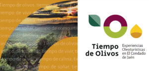 tiempo de olivos comarca el condado jaen