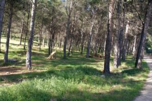 sendero neveral jaen